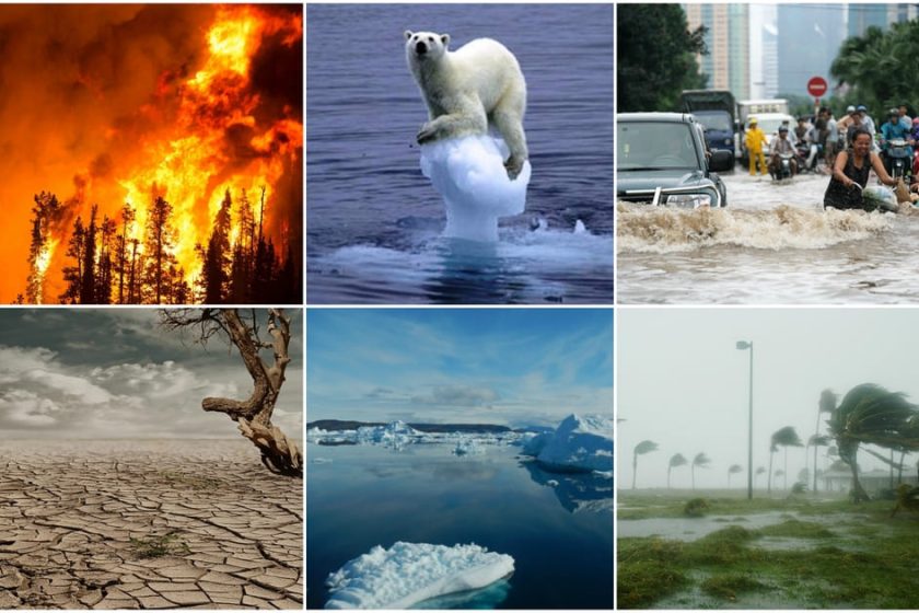 Effekterna av ett uppvärmande klimat