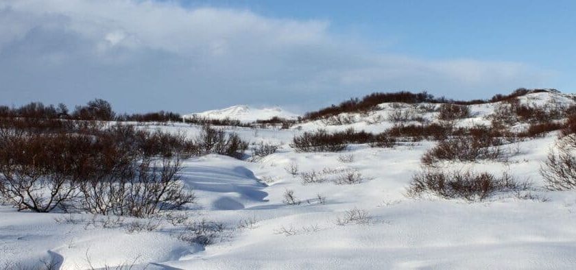 Litla Skard bioövervakningsområde
